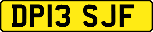 DP13SJF