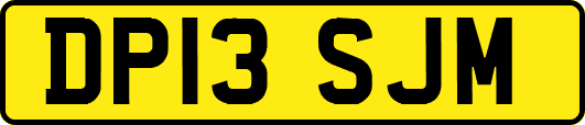 DP13SJM