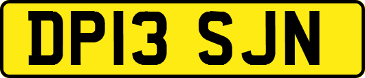 DP13SJN