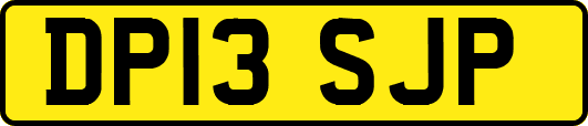 DP13SJP