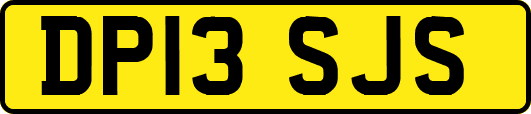 DP13SJS