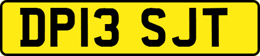 DP13SJT