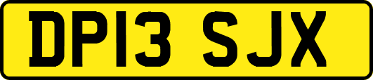 DP13SJX