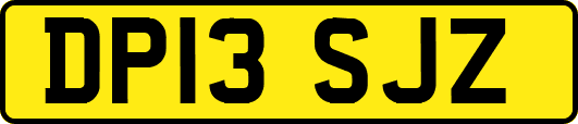 DP13SJZ