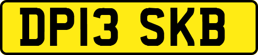 DP13SKB