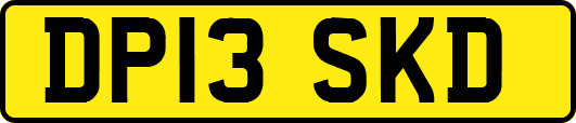 DP13SKD