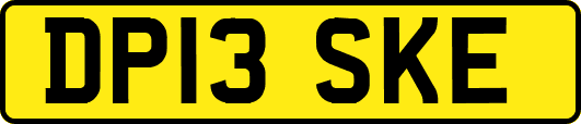 DP13SKE