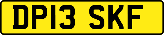 DP13SKF