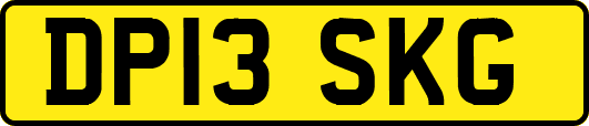 DP13SKG