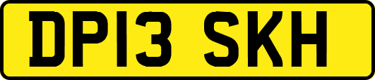 DP13SKH