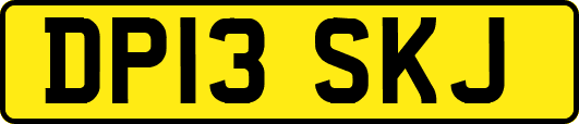 DP13SKJ