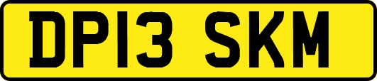 DP13SKM