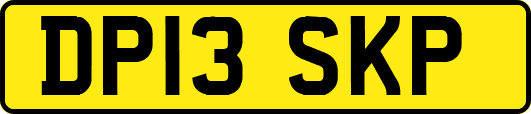 DP13SKP