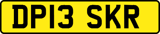 DP13SKR