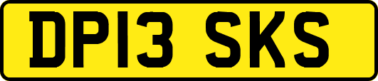 DP13SKS