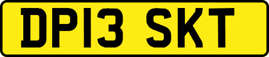 DP13SKT
