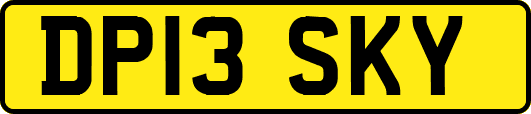 DP13SKY