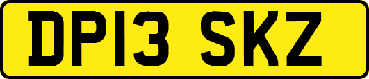 DP13SKZ