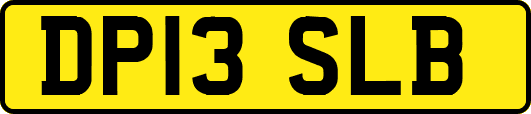 DP13SLB