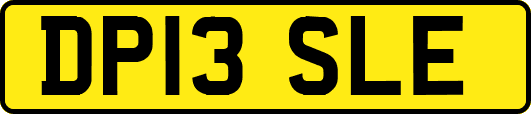 DP13SLE