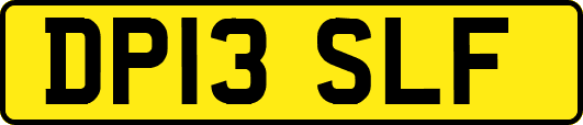 DP13SLF