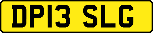 DP13SLG