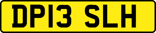 DP13SLH