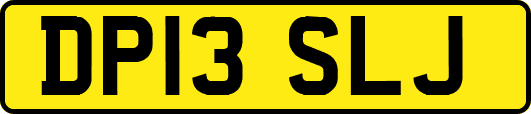 DP13SLJ