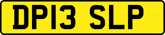 DP13SLP