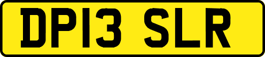 DP13SLR