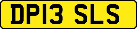 DP13SLS