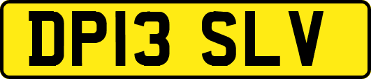 DP13SLV
