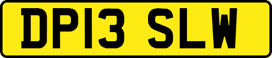 DP13SLW