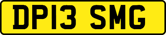 DP13SMG