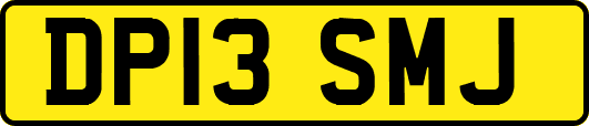 DP13SMJ