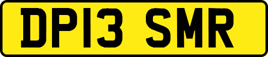 DP13SMR