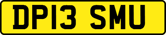 DP13SMU