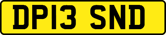 DP13SND