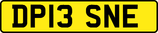 DP13SNE