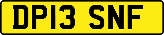 DP13SNF