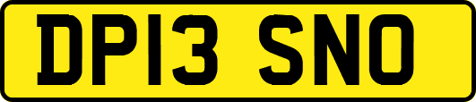 DP13SNO
