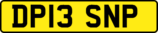 DP13SNP