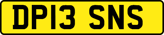 DP13SNS