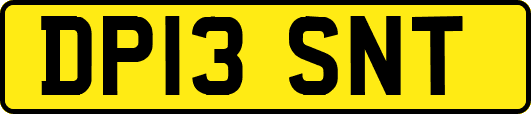 DP13SNT