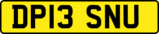 DP13SNU