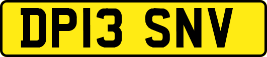 DP13SNV