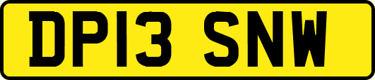 DP13SNW