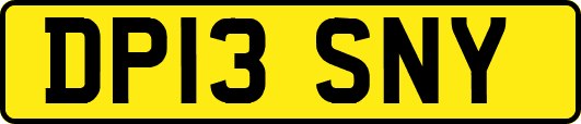 DP13SNY