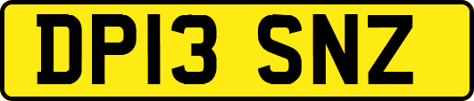 DP13SNZ