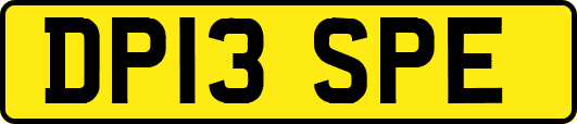 DP13SPE